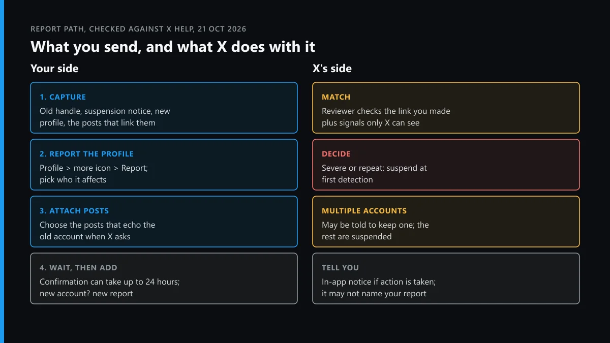 How to report ban evasion on X: capture, report the profile, attach linking posts, then X matches, decides and notifies