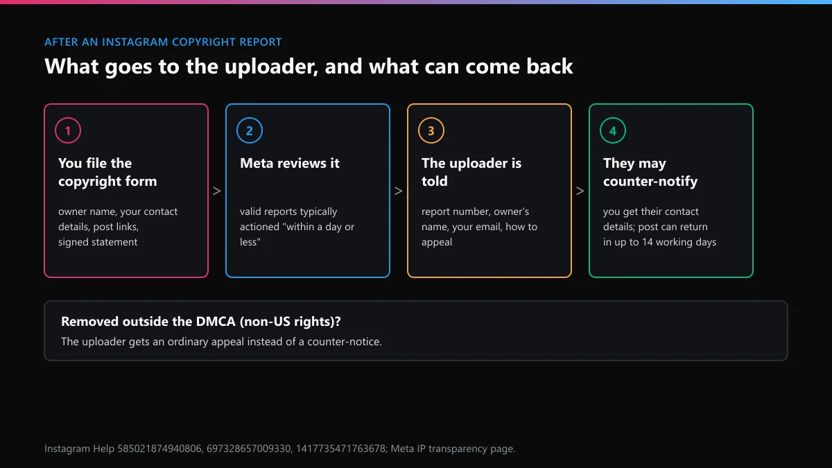 Instagram copyright report flow: what the uploader receives, counter-notice back to you, and the restore window