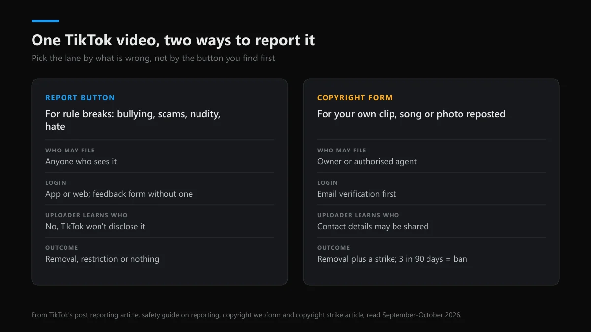 TikTok video report or copyright notice: who may file, what the uploader learns, what happens next
