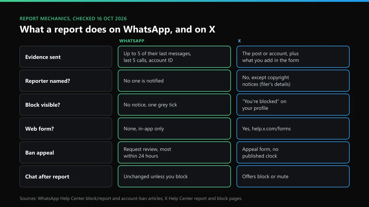 What happens if you report someone on WhatsApp vs on X: evidence sent, who is told, what the chat does