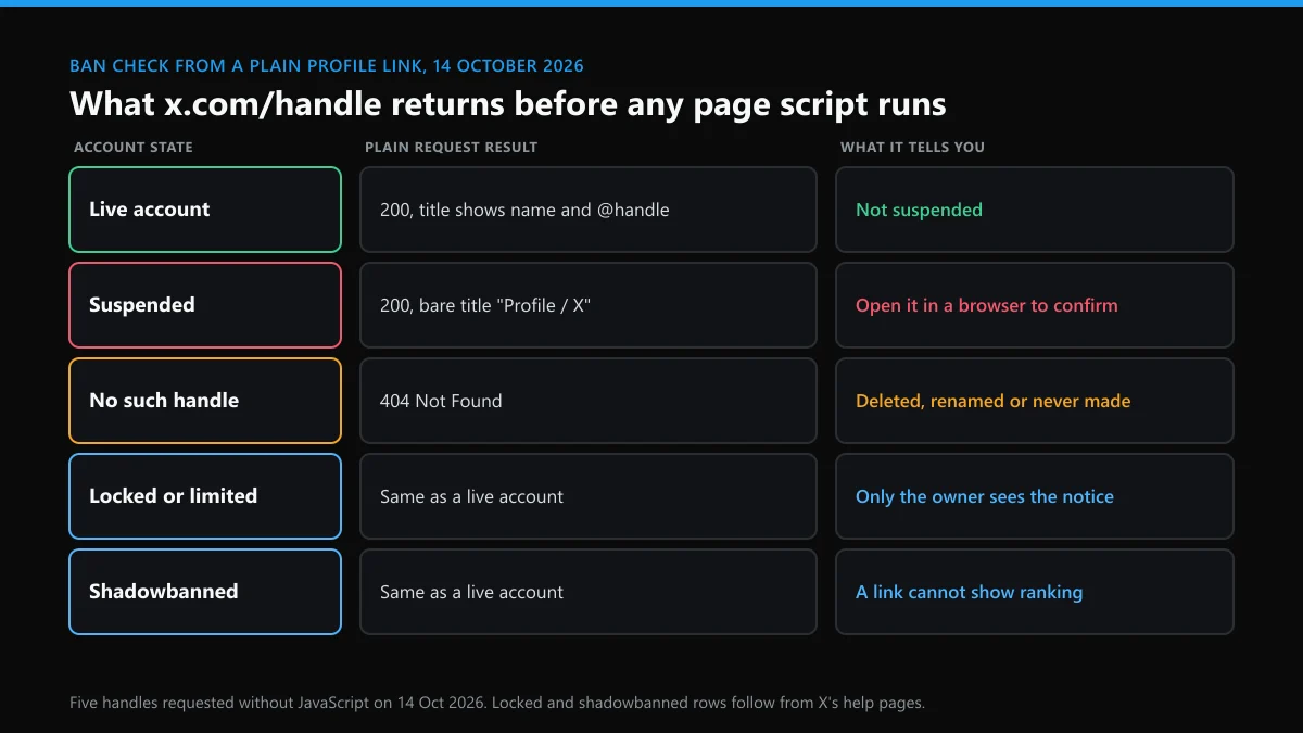 X ban check from a plain profile link: live, suspended and missing handles compared with locked and shadowbanned accounts