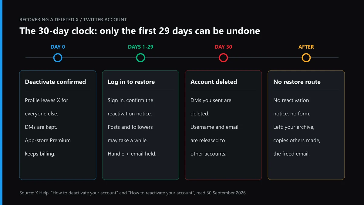 Recover deleted Twitter account timeline: day 0 deactivation, days 1 to 29 sign in to restore, day 30 deletion, nothing after
