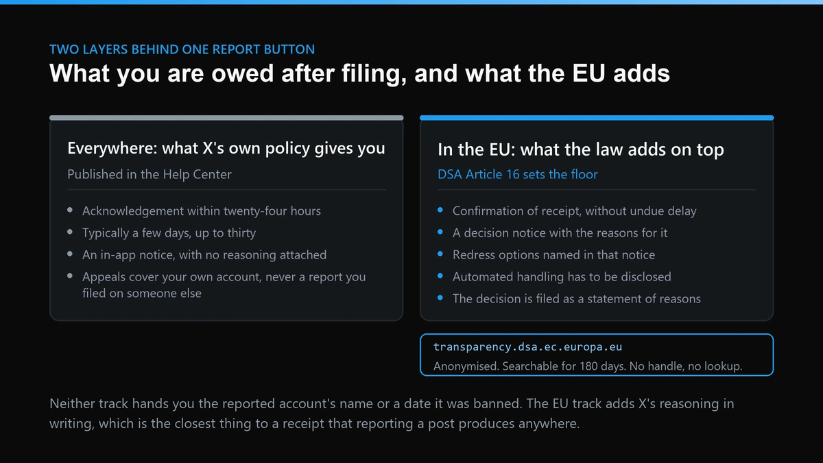 Two tracks after reporting a tweet: X policy outside the EU versus DSA Article 16 duties inside it