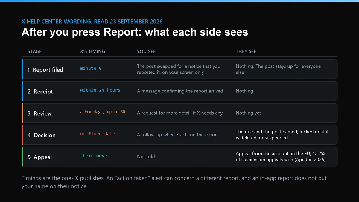 What happens when you report someone on Twitter: five stages, X's timings, what the reporter and the reported account see